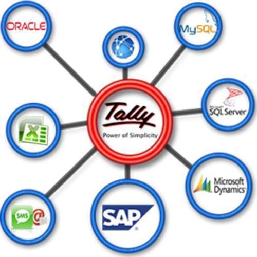 Tally Integration Services